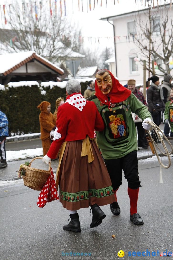 Narrentreffen-Radolfzell-20012013-bodensee-community-seechat-de_296.JPG