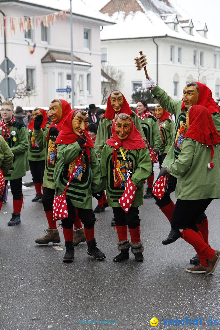 Narrentreffen-Radolfzell-20012013-bodensee-community-seechat-de_297.JPG