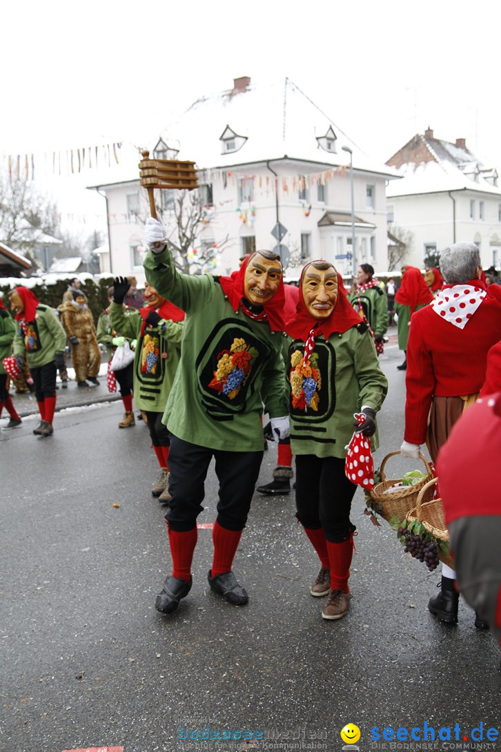 Narrentreffen-Radolfzell-20012013-bodensee-community-seechat-de_298.JPG