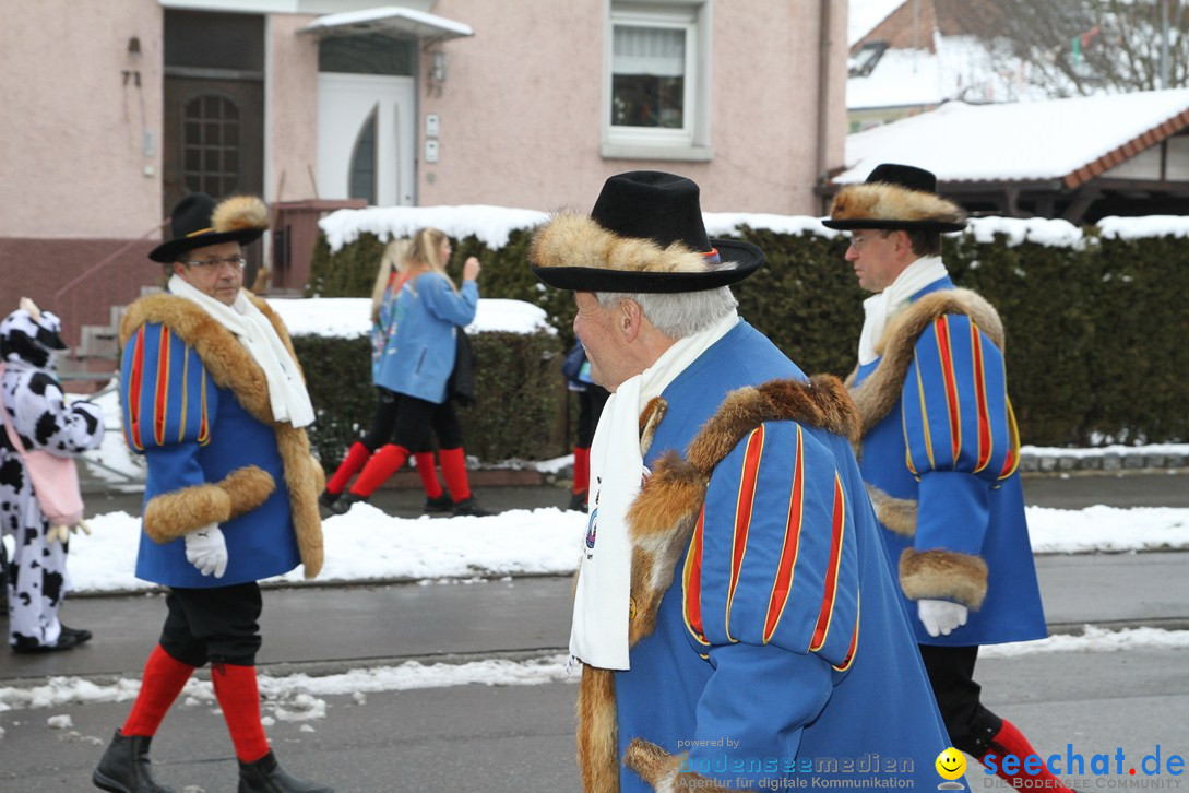 Narrentreffen-Radolfzell-20012013-bodensee-community-seechat-de_299.JPG