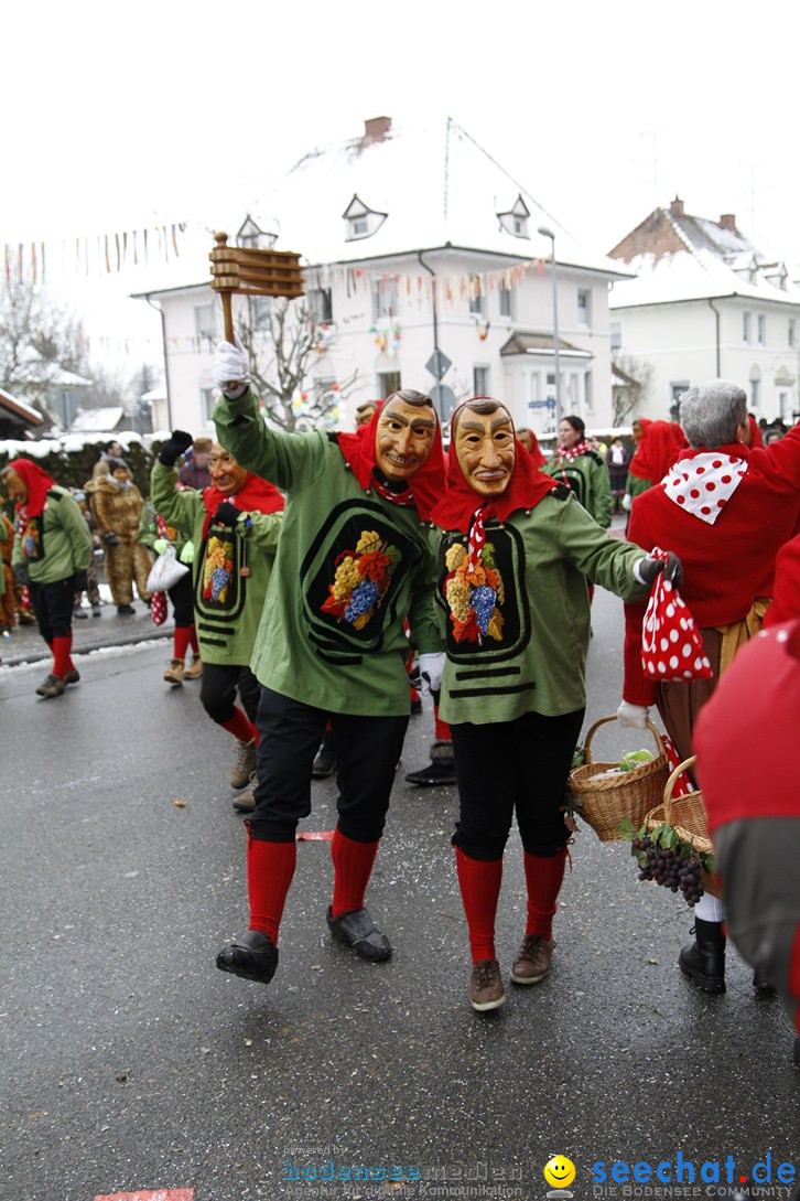 Narrentreffen-Radolfzell-20012013-bodensee-community-seechat-de_30.JPG