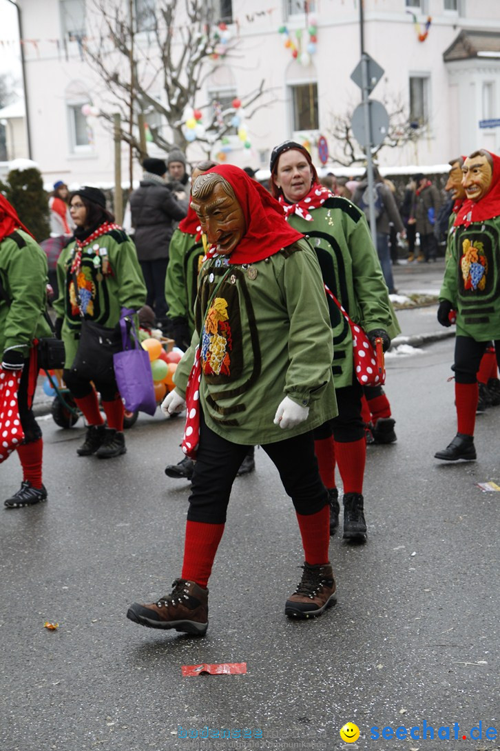 Narrentreffen-Radolfzell-20012013-bodensee-community-seechat-de_300.JPG