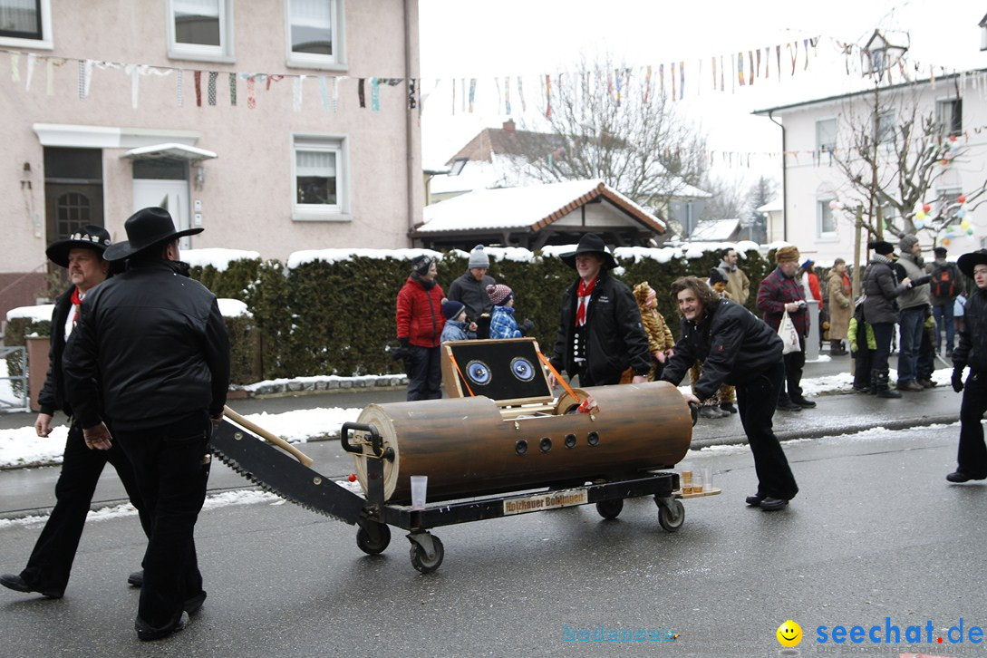 Narrentreffen-Radolfzell-20012013-bodensee-community-seechat-de_301.JPG