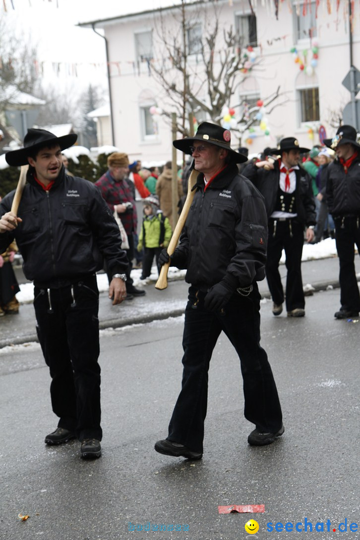 Narrentreffen-Radolfzell-20012013-bodensee-community-seechat-de_303.JPG