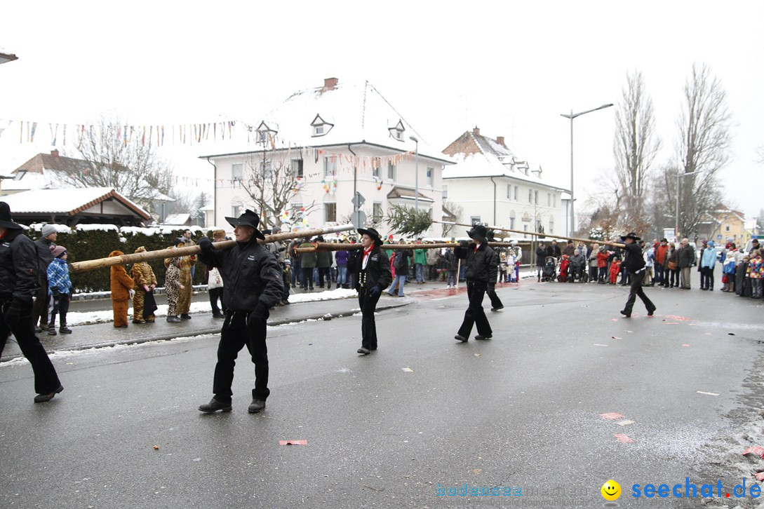 Narrentreffen-Radolfzell-20012013-bodensee-community-seechat-de_305.JPG