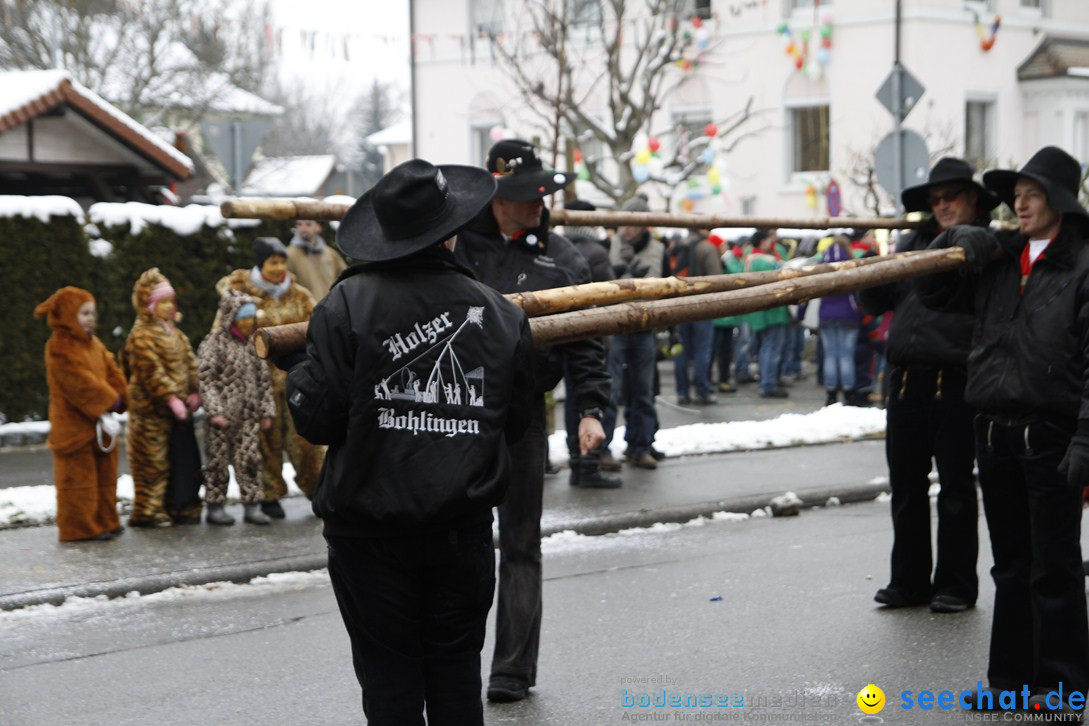 Narrentreffen-Radolfzell-20012013-bodensee-community-seechat-de_306.JPG