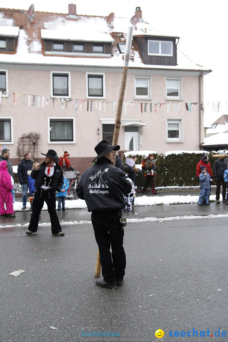 Narrentreffen-Radolfzell-20012013-bodensee-community-seechat-de_307.JPG