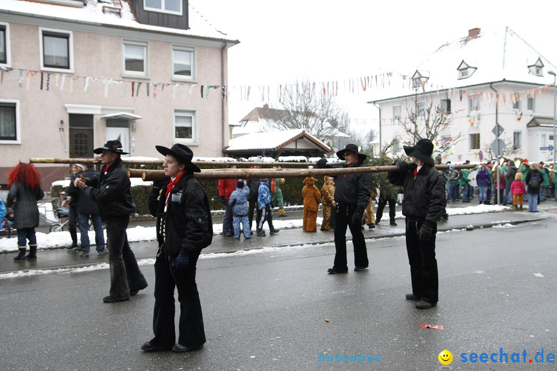 Narrentreffen-Radolfzell-20012013-bodensee-community-seechat-de_308.JPG