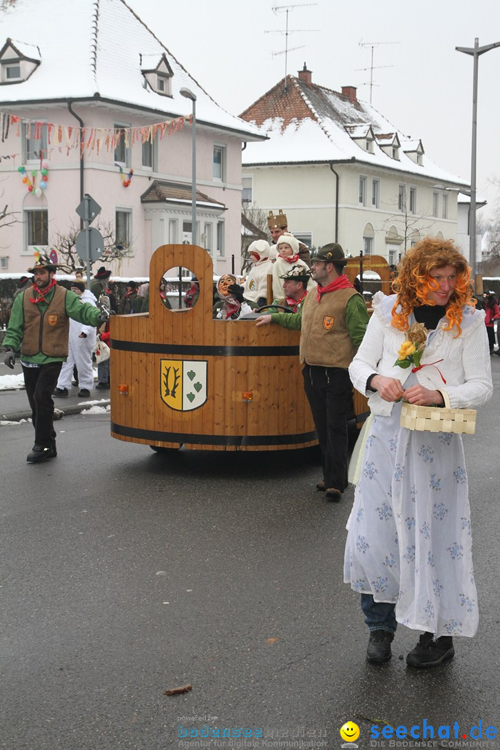 Narrentreffen-Radolfzell-20012013-bodensee-community-seechat-de_309.JPG