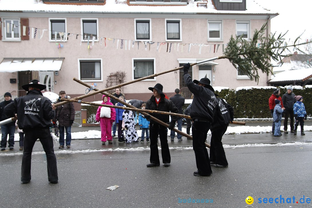 Narrentreffen-Radolfzell-20012013-bodensee-community-seechat-de_310.JPG