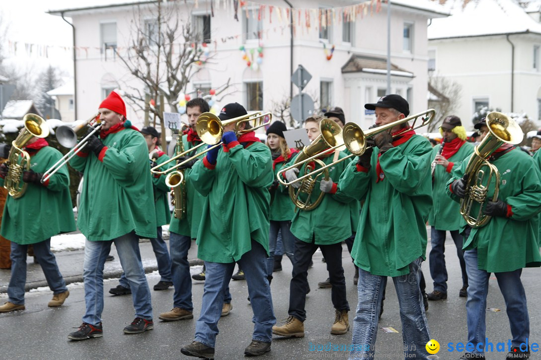 Narrentreffen-Radolfzell-20012013-bodensee-community-seechat-de_312.JPG