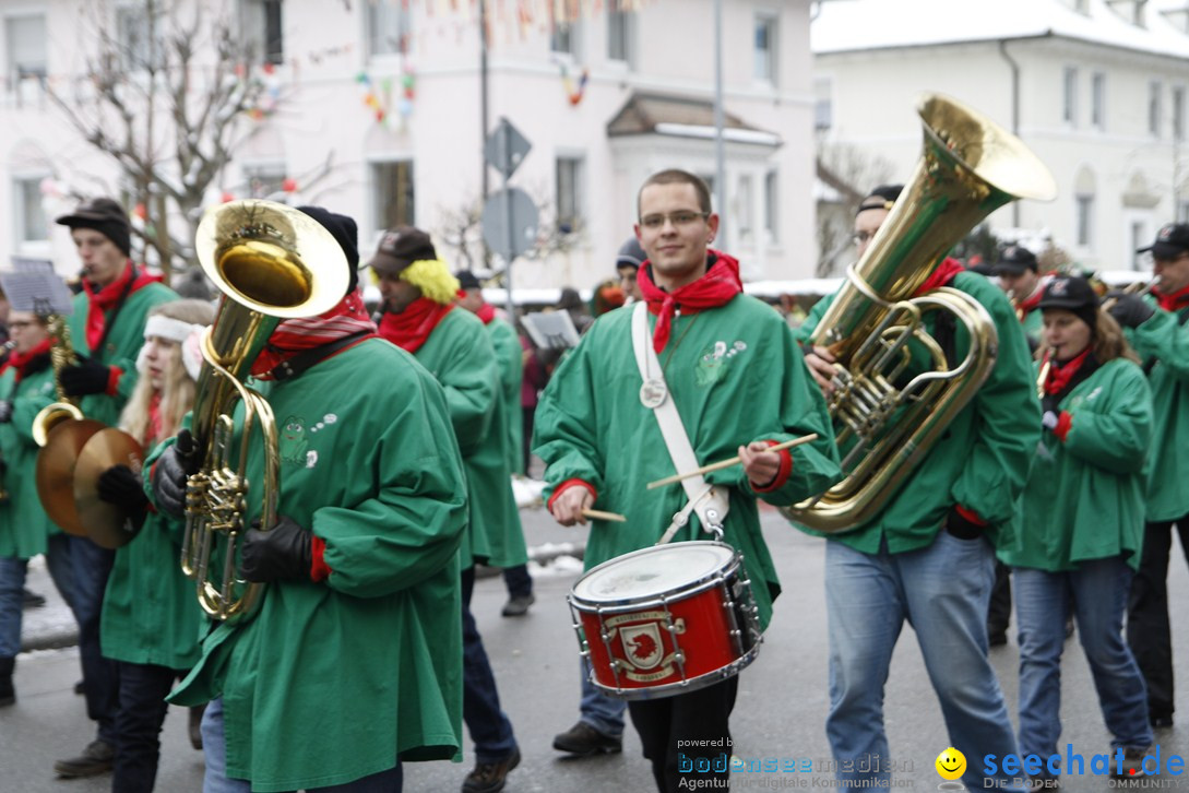 Narrentreffen-Radolfzell-20012013-bodensee-community-seechat-de_313.JPG