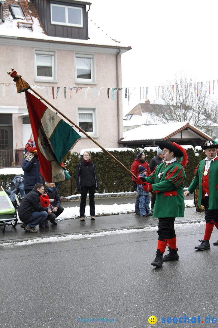 Narrentreffen-Radolfzell-20012013-bodensee-community-seechat-de_315.JPG