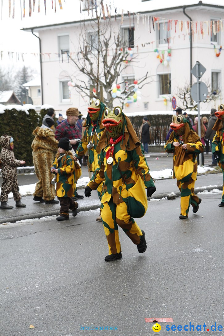 Narrentreffen-Radolfzell-20012013-bodensee-community-seechat-de_316.JPG