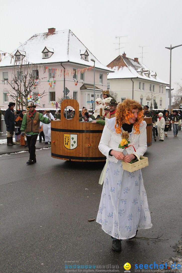 Narrentreffen-Radolfzell-20012013-bodensee-community-seechat-de_319.JPG