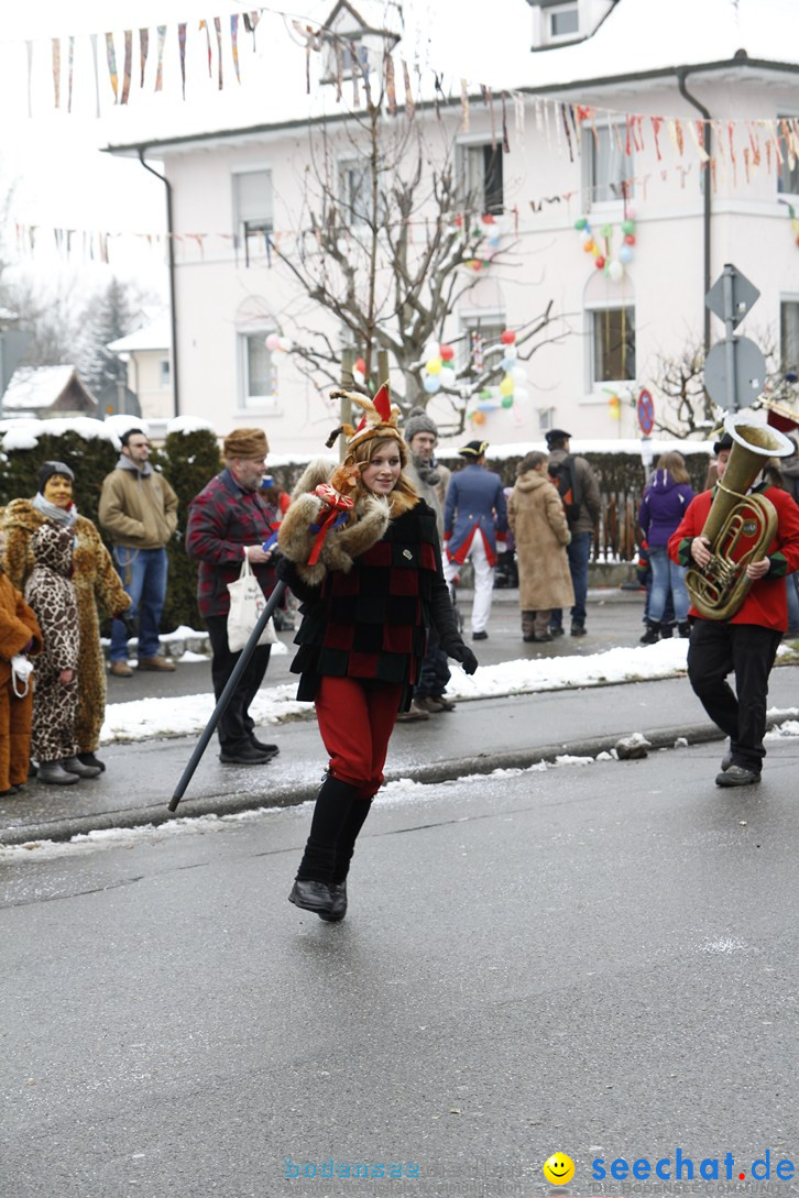 Narrentreffen-Radolfzell-20012013-bodensee-community-seechat-de_32.JPG