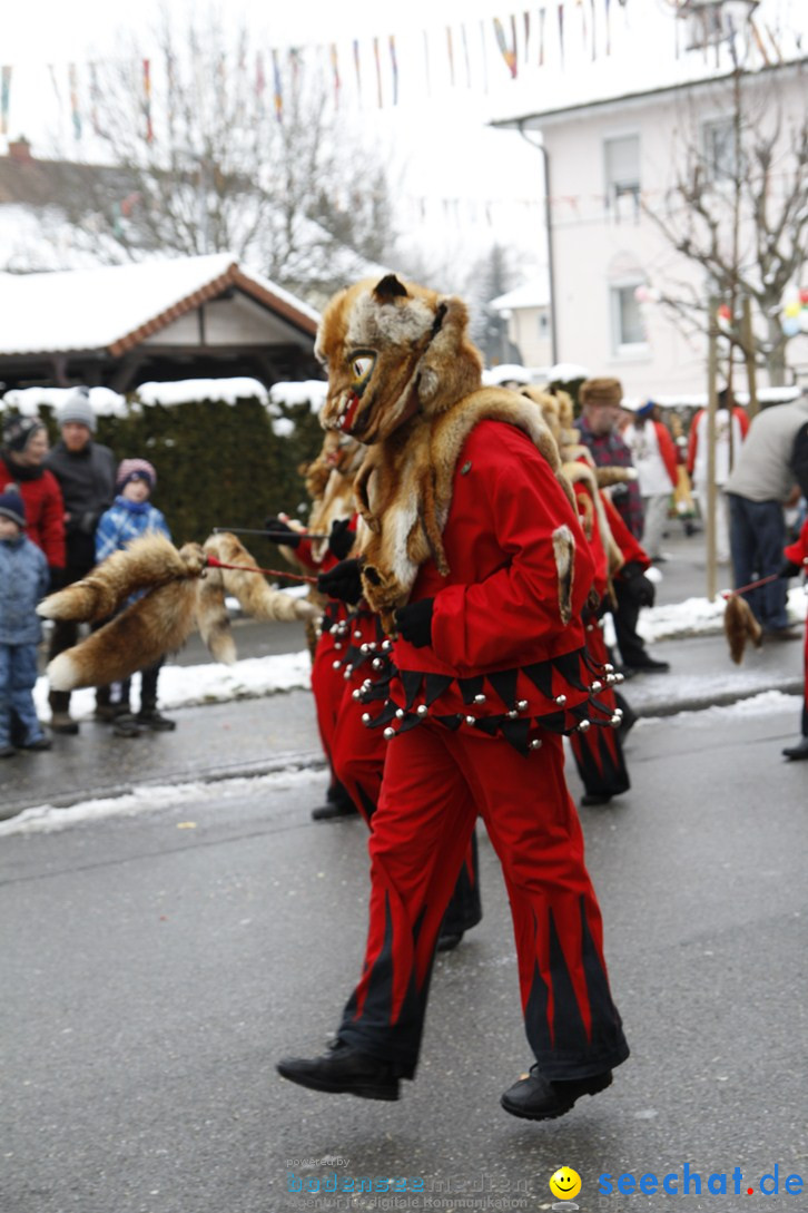 Narrentreffen-Radolfzell-20012013-bodensee-community-seechat-de_324.JPG