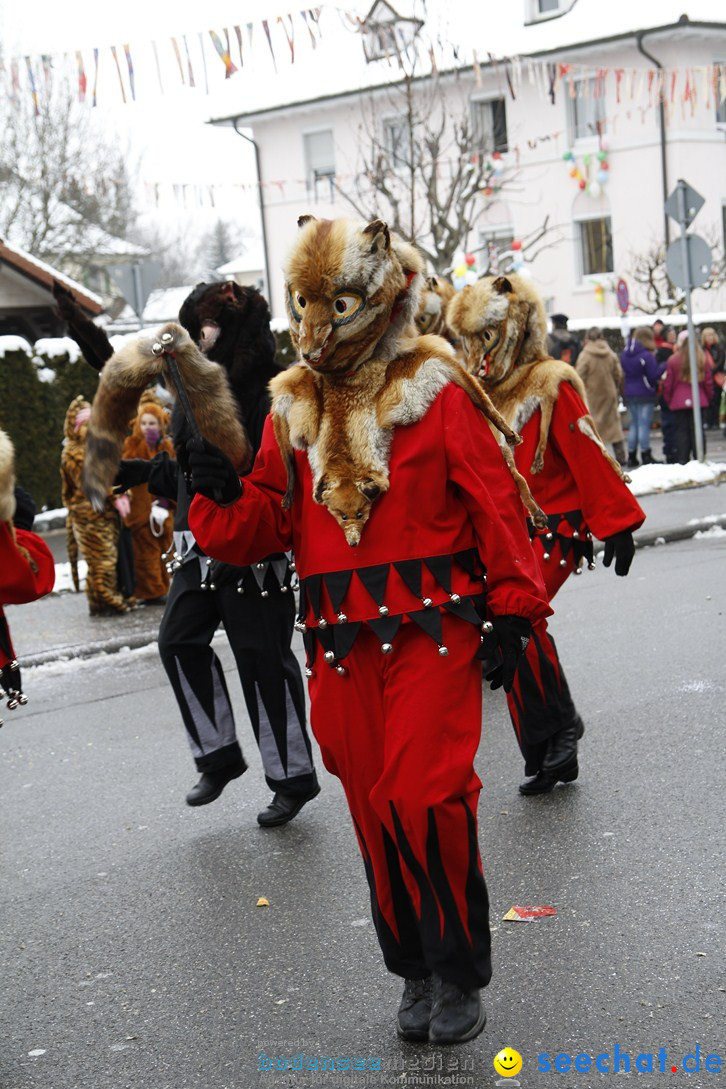 Narrentreffen-Radolfzell-20012013-bodensee-community-seechat-de_326.JPG