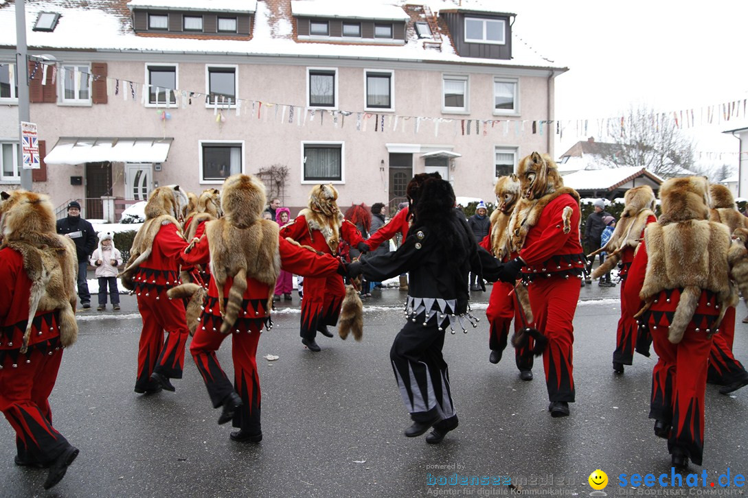 Narrentreffen-Radolfzell-20012013-bodensee-community-seechat-de_327.JPG