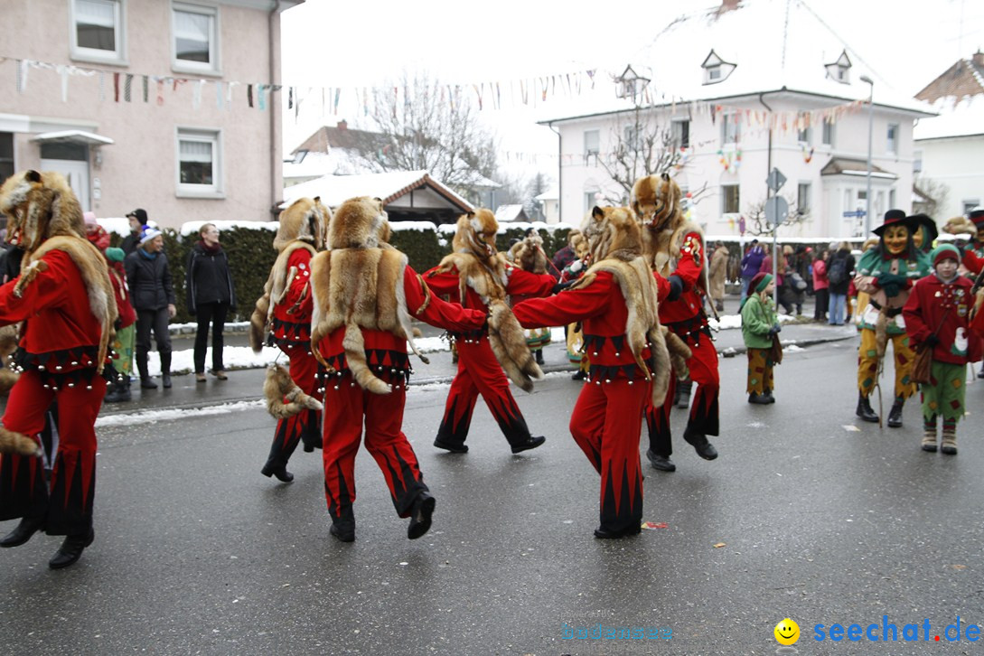 Narrentreffen-Radolfzell-20012013-bodensee-community-seechat-de_328.JPG