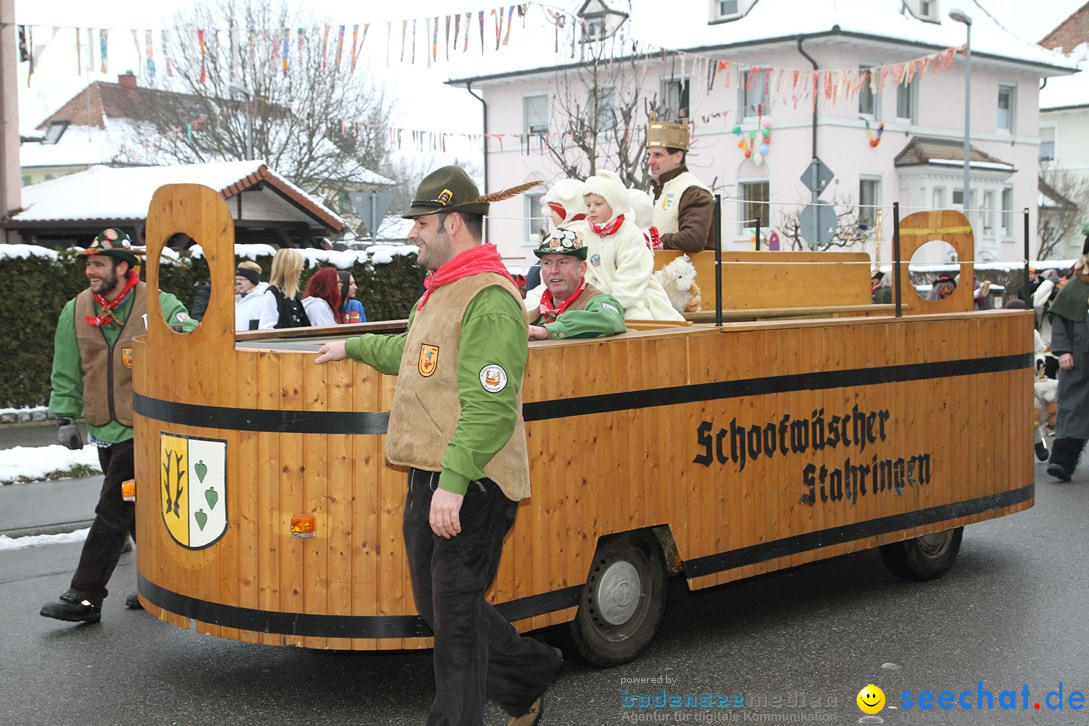 Narrentreffen-Radolfzell-20012013-bodensee-community-seechat-de_329.JPG