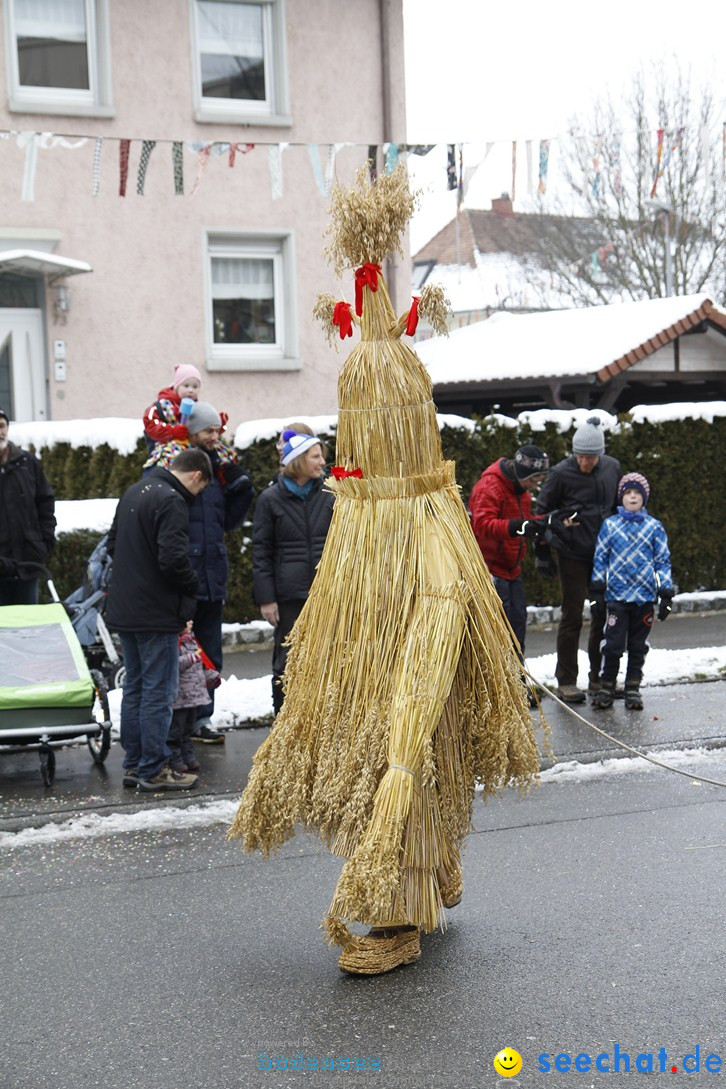 Narrentreffen-Radolfzell-20012013-bodensee-community-seechat-de_330.JPG