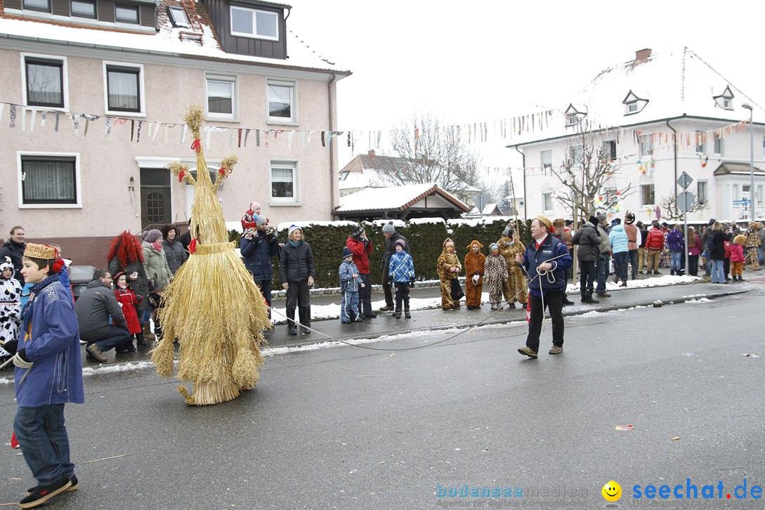 Narrentreffen-Radolfzell-20012013-bodensee-community-seechat-de_331.JPG