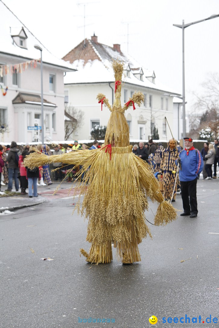 Narrentreffen-Radolfzell-20012013-bodensee-community-seechat-de_332.JPG