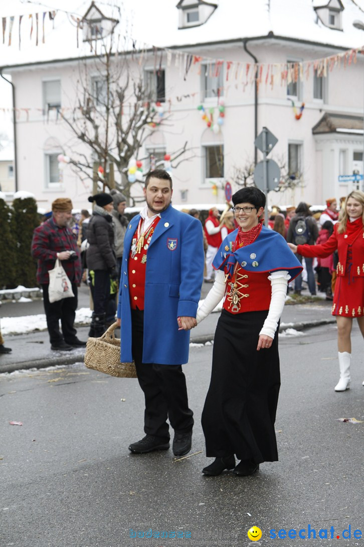 Narrentreffen-Radolfzell-20012013-bodensee-community-seechat-de_334.JPG