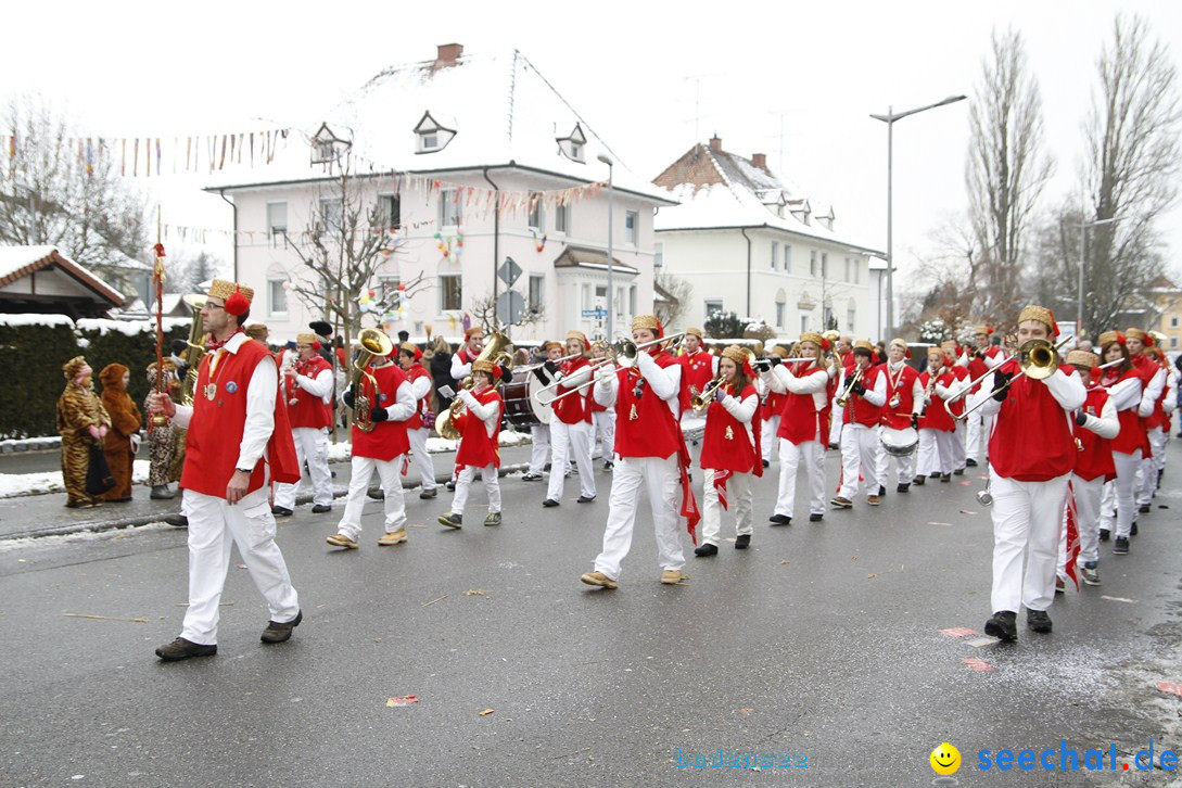 Narrentreffen-Radolfzell-20012013-bodensee-community-seechat-de_336.JPG