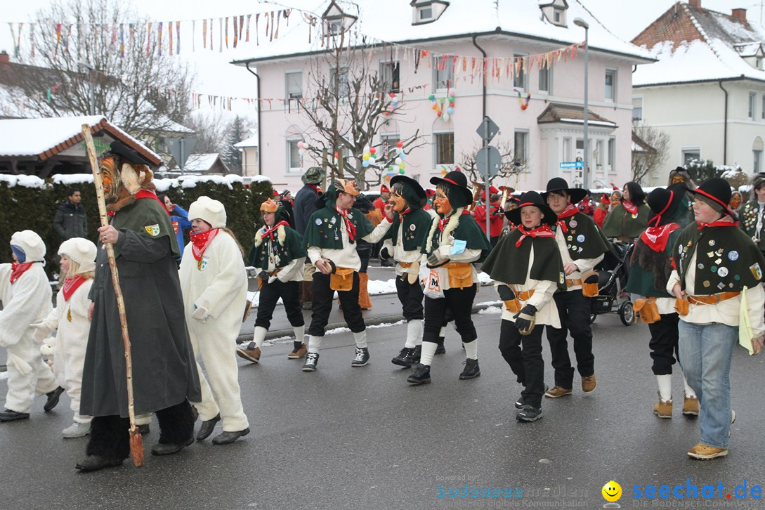 Narrentreffen-Radolfzell-20012013-bodensee-community-seechat-de_339.JPG