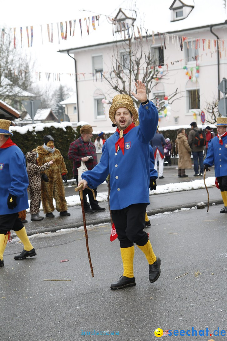 Narrentreffen-Radolfzell-20012013-bodensee-community-seechat-de_34.JPG