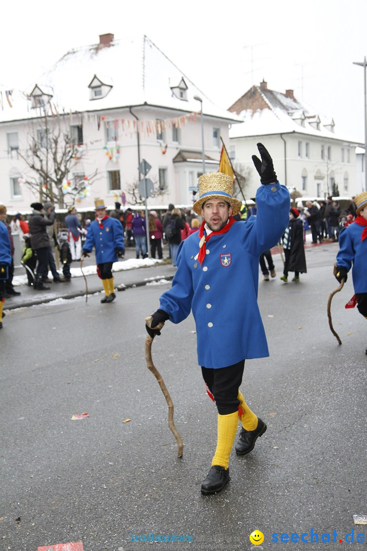 Narrentreffen-Radolfzell-20012013-bodensee-community-seechat-de_340.JPG