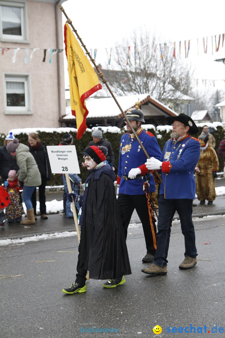 Narrentreffen-Radolfzell-20012013-bodensee-community-seechat-de_342.JPG