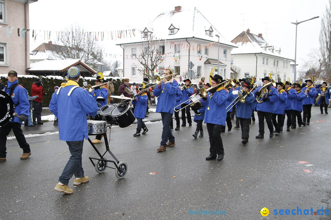 Narrentreffen-Radolfzell-20012013-bodensee-community-seechat-de_343.JPG