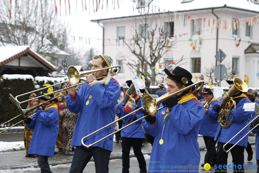 Narrentreffen-Radolfzell-20012013-bodensee-community-seechat-de_344.JPG