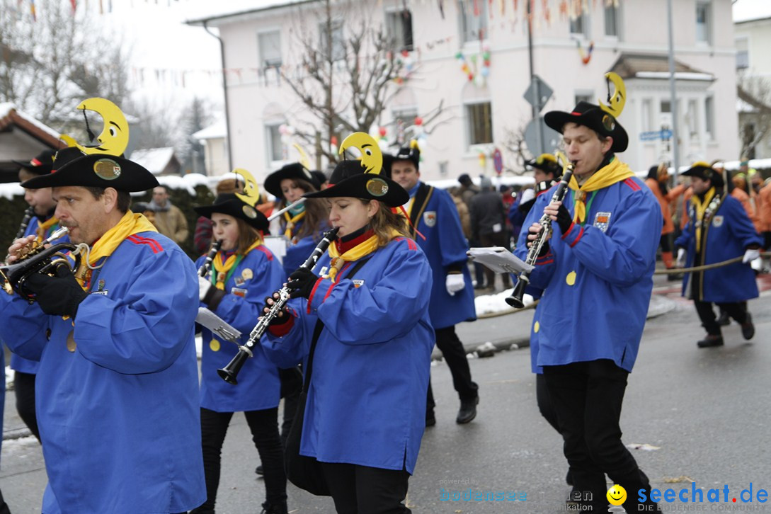 Narrentreffen-Radolfzell-20012013-bodensee-community-seechat-de_345.JPG