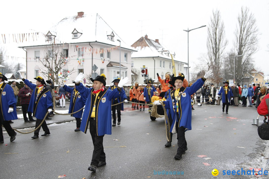 Narrentreffen-Radolfzell-20012013-bodensee-community-seechat-de_346.JPG