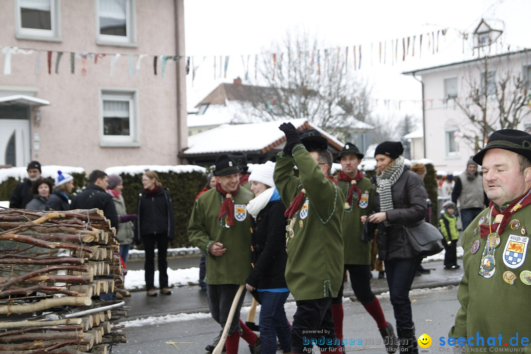 Narrentreffen-Radolfzell-20012013-bodensee-community-seechat-de_356.JPG