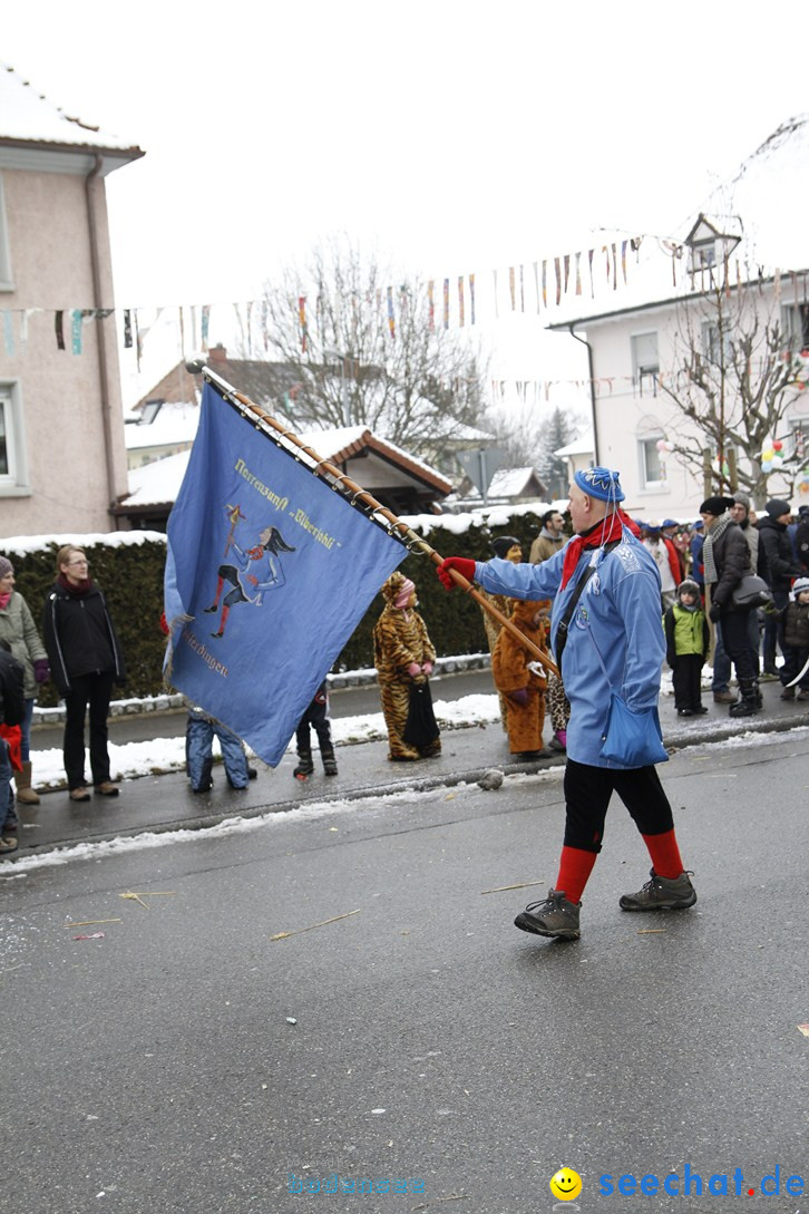 Narrentreffen-Radolfzell-20012013-bodensee-community-seechat-de_358.JPG