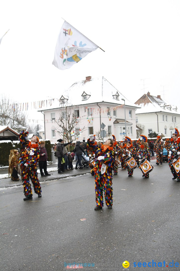 Narrentreffen-Radolfzell-20012013-bodensee-community-seechat-de_367.JPG