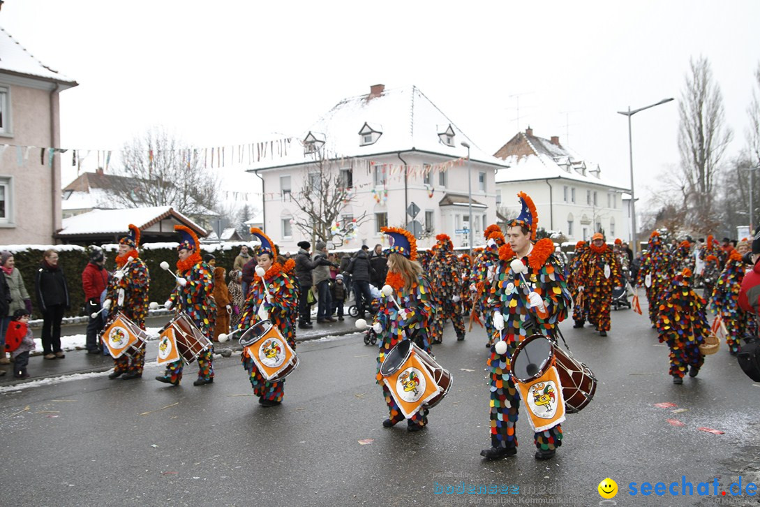 Narrentreffen-Radolfzell-20012013-bodensee-community-seechat-de_368.JPG