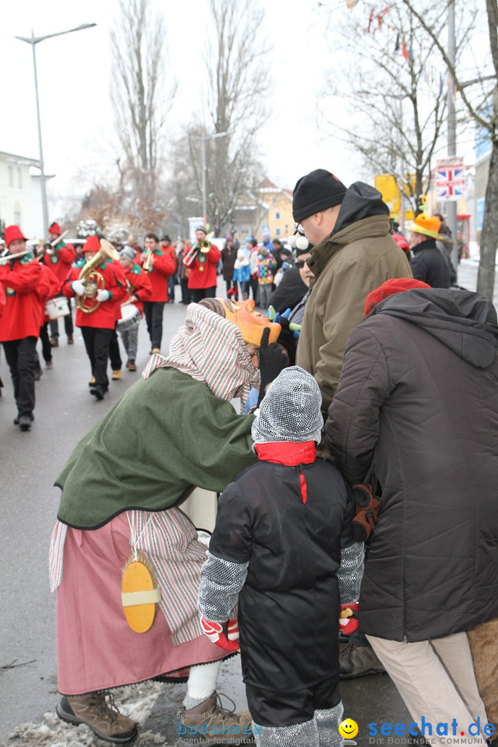 Narrentreffen-Radolfzell-20012013-bodensee-community-seechat-de_369.JPG