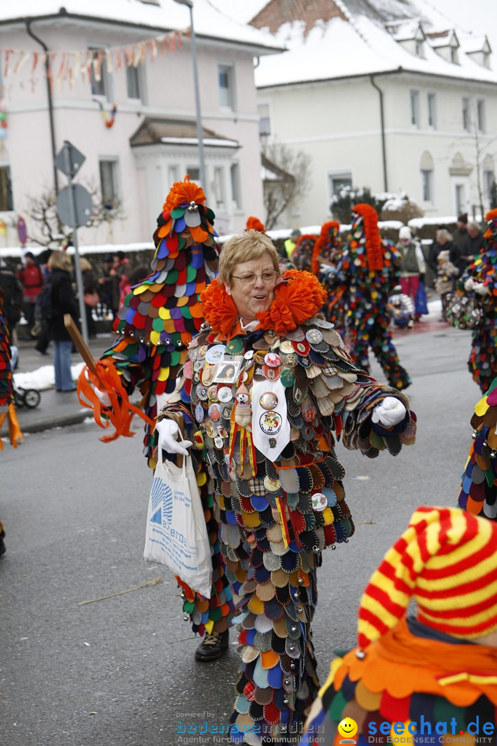 Narrentreffen-Radolfzell-20012013-bodensee-community-seechat-de_37.JPG