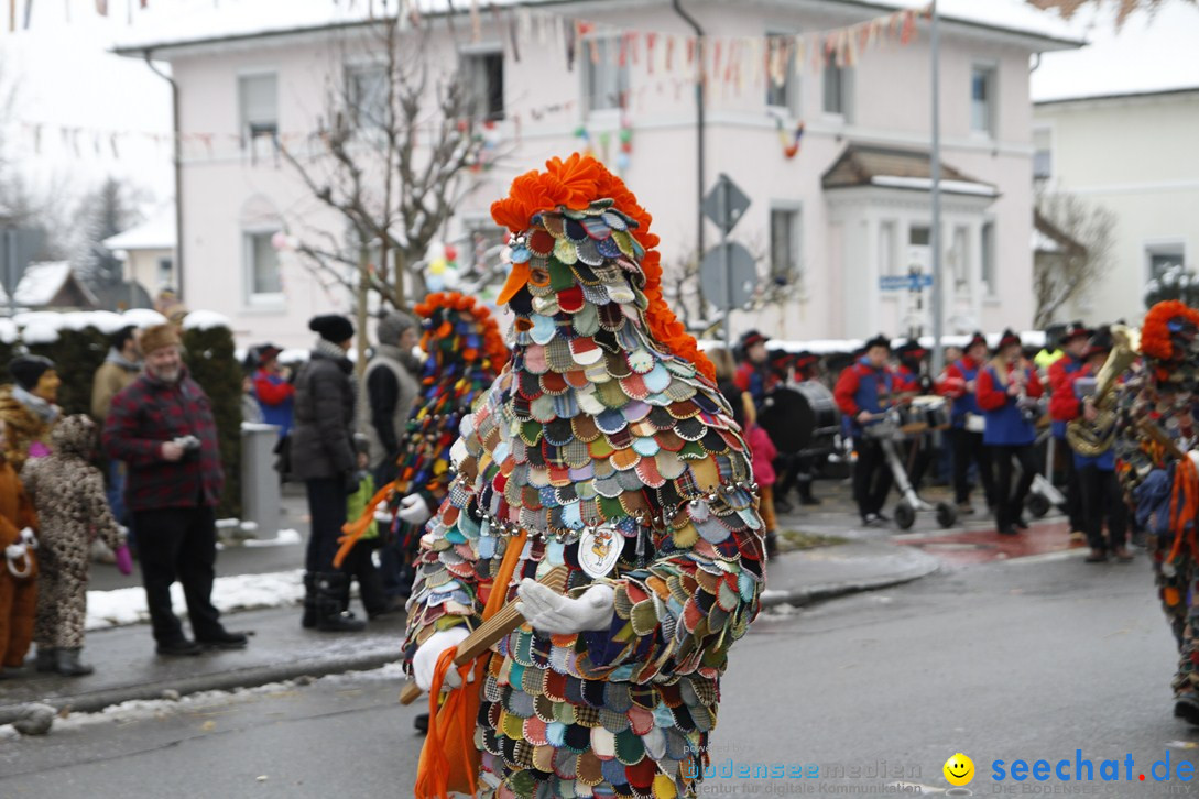 Narrentreffen-Radolfzell-20012013-bodensee-community-seechat-de_371.JPG