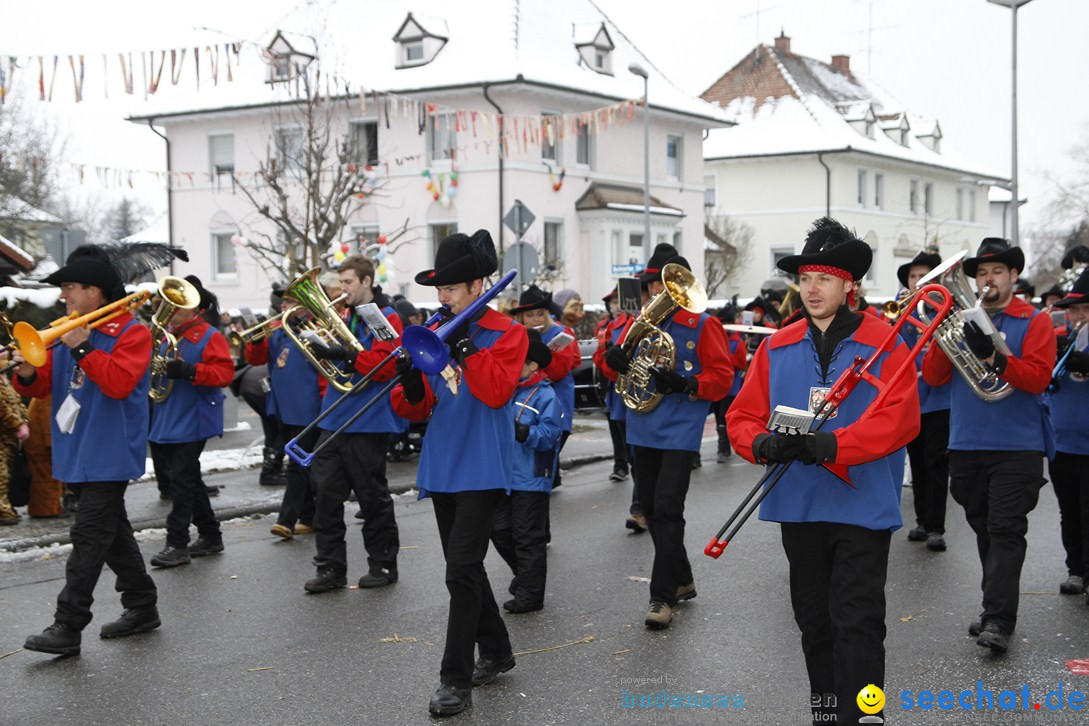 Narrentreffen-Radolfzell-20012013-bodensee-community-seechat-de_373.JPG