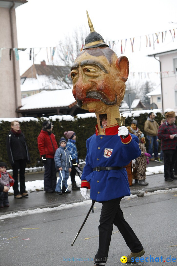 Narrentreffen-Radolfzell-20012013-bodensee-community-seechat-de_374.JPG