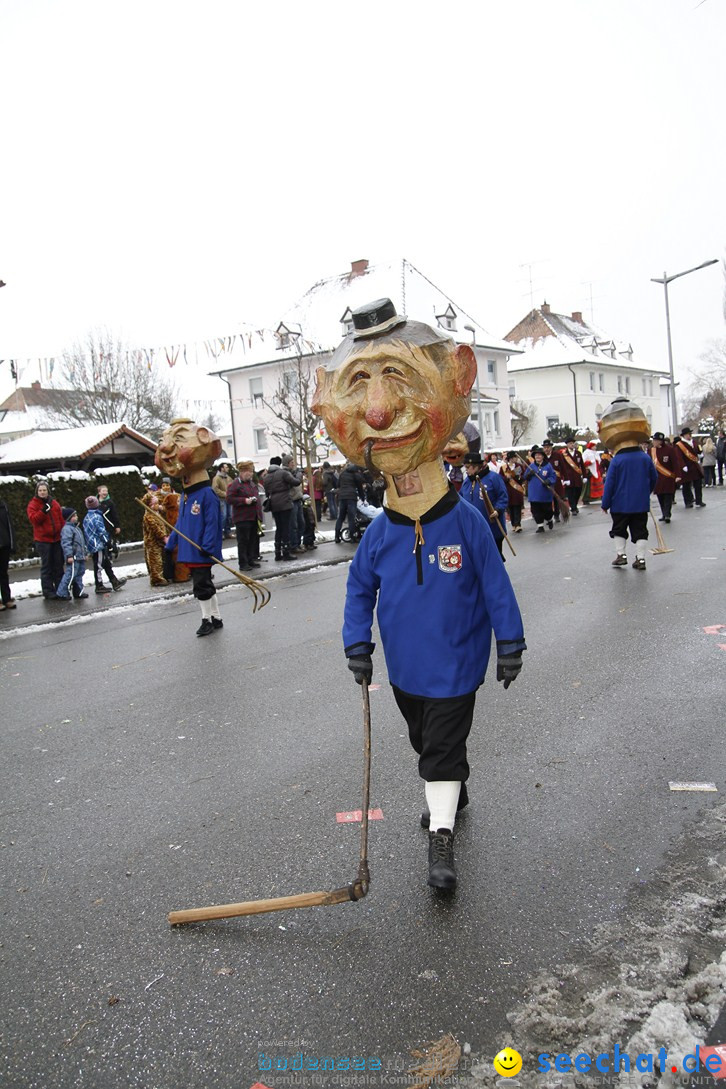 Narrentreffen-Radolfzell-20012013-bodensee-community-seechat-de_375.JPG