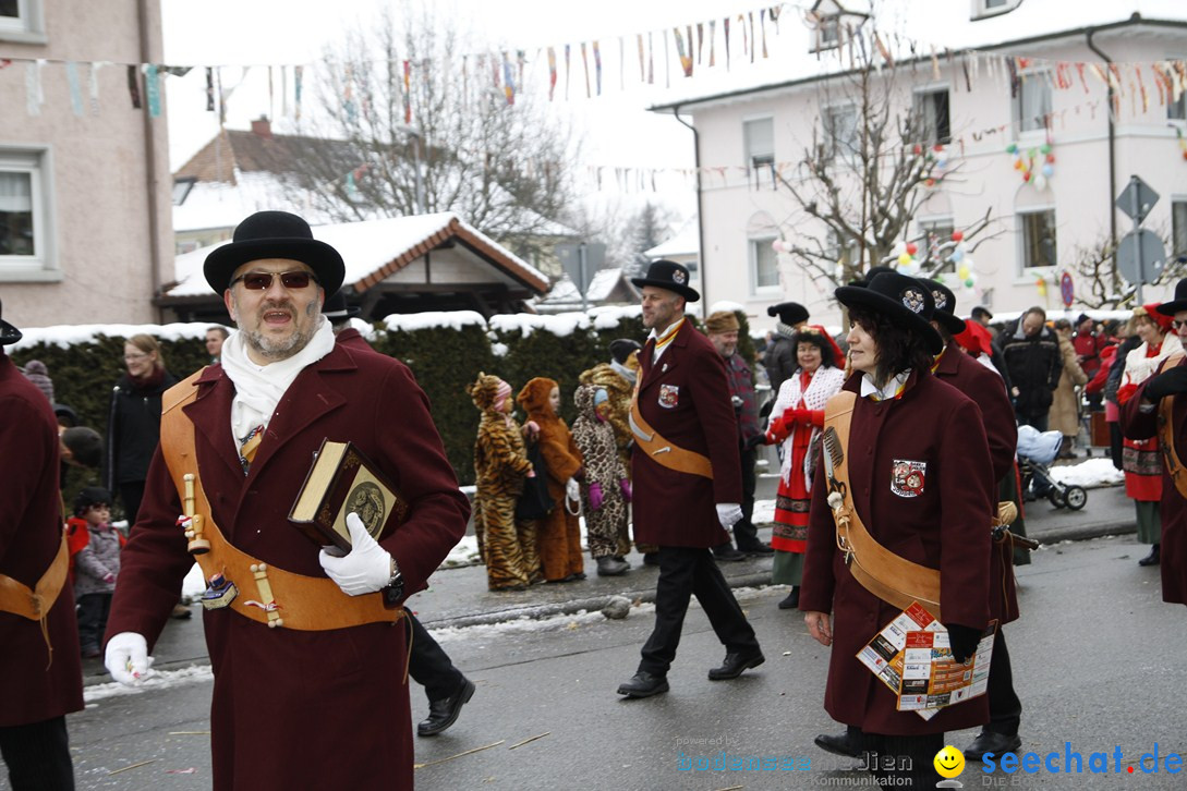 Narrentreffen-Radolfzell-20012013-bodensee-community-seechat-de_378.JPG