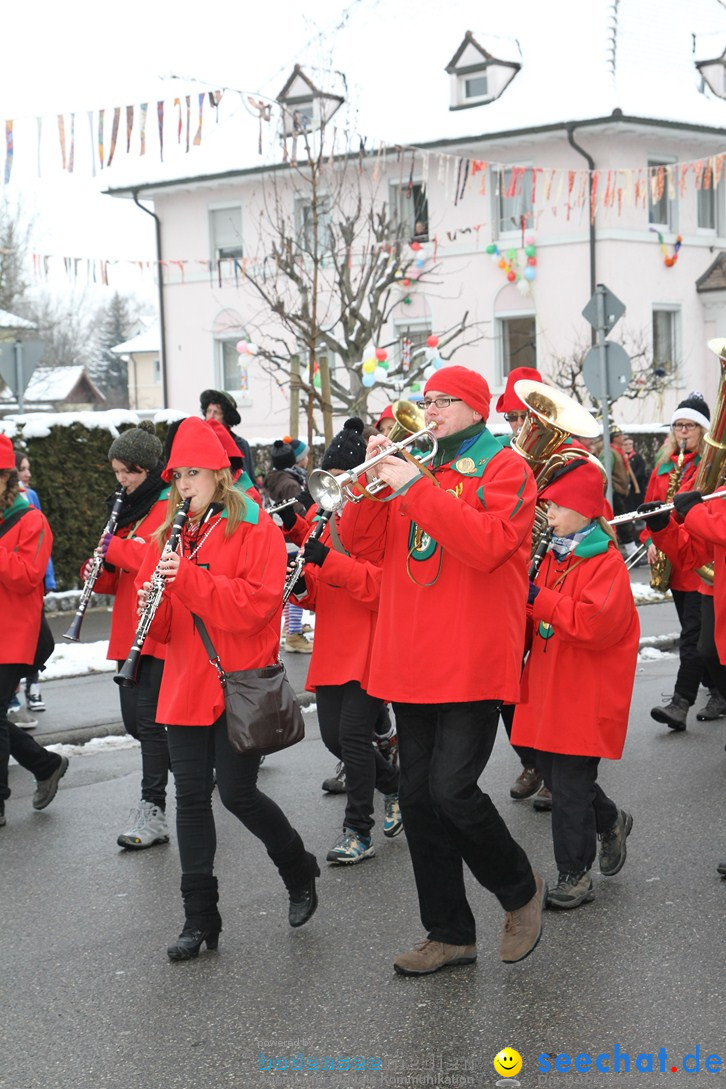 Narrentreffen-Radolfzell-20012013-bodensee-community-seechat-de_379.JPG